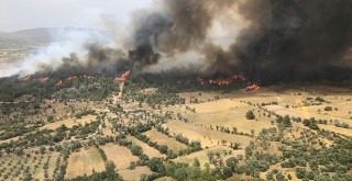 Kısırlar Köyünde Orman Yangını