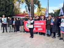 613034215_18069605054621903_8843252039493277585_n