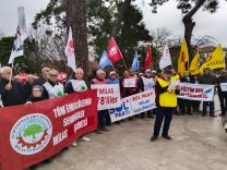 WhatsApp Image 2026-01-07 at 18.35.06