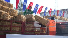 WhatsApp Image 2026-01-16 at 17.52.41 (1)