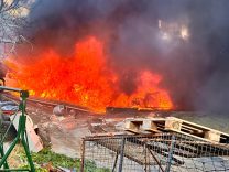 WhatsApp Image 2026-01-20 at 14.25.27 (2)