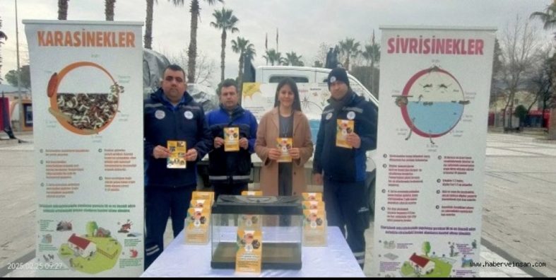 WhatsApp Image 2026-01-20 at 16.37.11 (3)