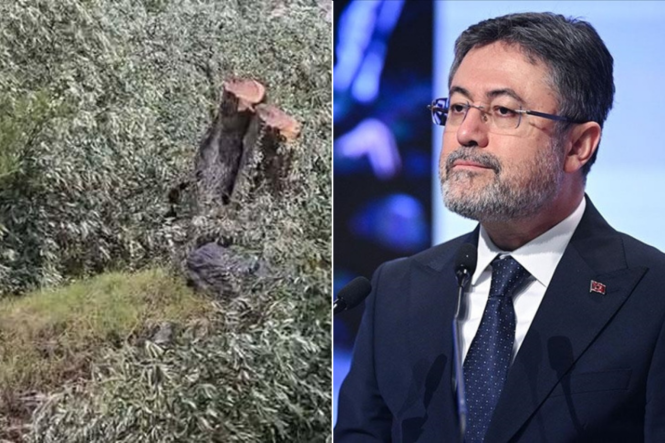 Akyakanin-nufusu-15-katina-cikti-80-bin_20260215_193150_0000-1536x1023