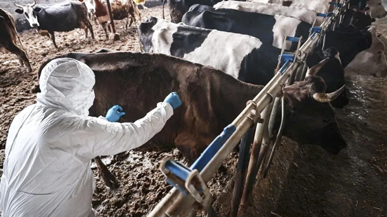 Ekran Resmi 2026-02-23 10.43.41