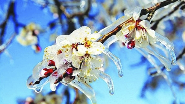 Ekran Resmi 2026-02-26 11.56.10