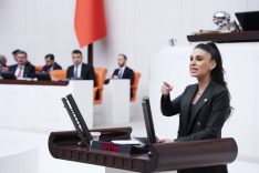 GİZEM ÖZCAN BÜTÇE