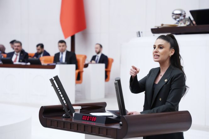 GİZEM ÖZCAN BÜTÇE