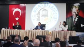 WhatsApp Image 2026-02-04 at 09.27.34