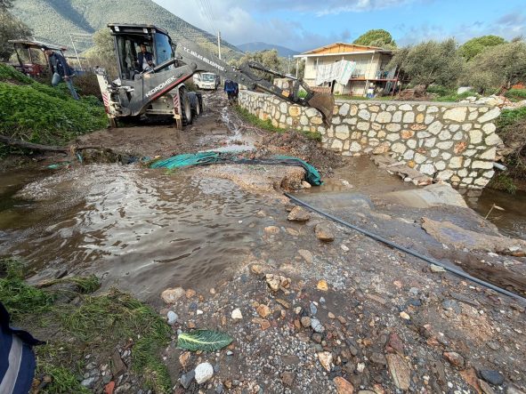 WhatsApp Image 2026-02-09 at 10.47.39 AM