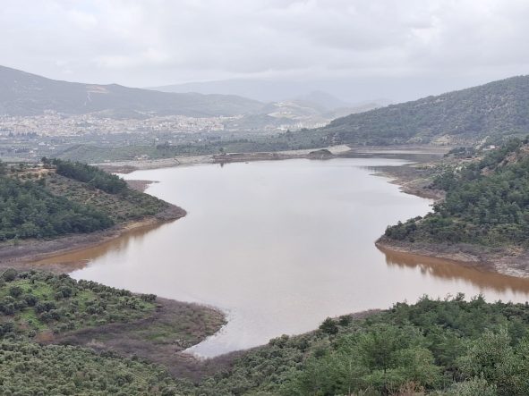 WhatsApp Image 2026-02-09 at 9.34.32 AM (2)