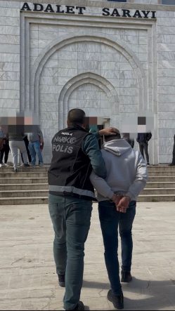 WhatsApp Image 2026-02-11 at 16.53.09