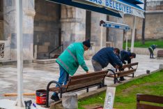 WhatsApp Image 2026-02-11 at 2.45.34 PM (2)