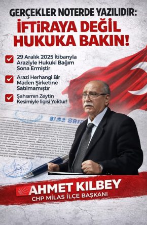 WhatsApp Image 2026-02-13 at 20.46.16