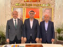 WhatsApp Image 2026-02-13 at 21.14.56