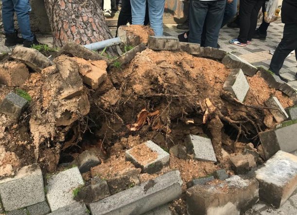 WhatsApp Image 2026-02-15 at 15.33.34 (2)