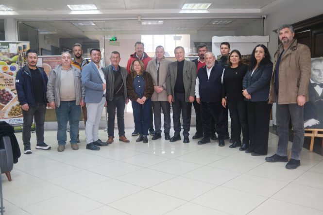 WhatsApp Image 2026-02-16 at 16.06.45