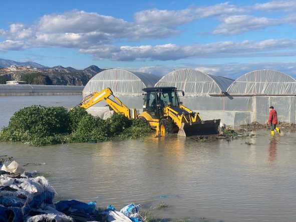 WhatsApp Image 2026-02-17 at 14.14.13