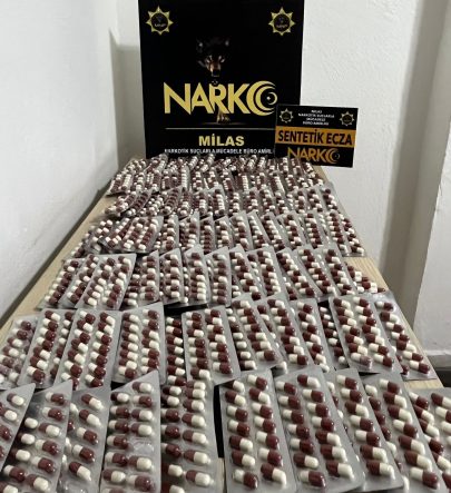 WhatsApp Image 2026-02-19 at 14.35.23