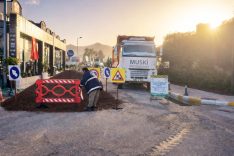 WhatsApp Image 2026-02-19 at 14.45.58