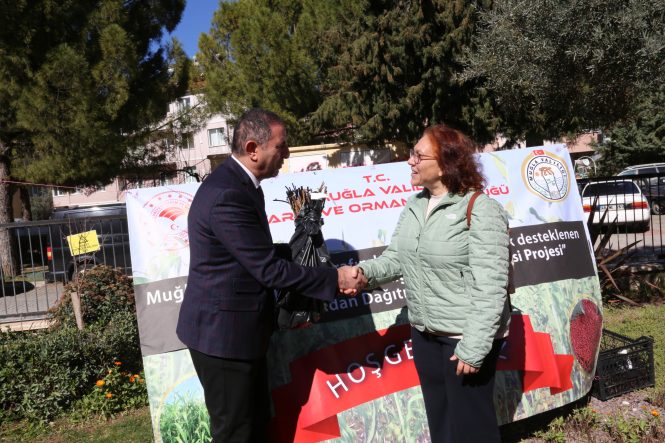 WhatsApp Image 2026-02-19 at 17.21.19 (1)