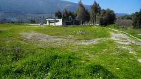 WhatsApp Image 2026-02-23 at 17.16.26 (3)