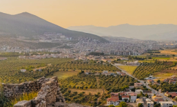 milas genel