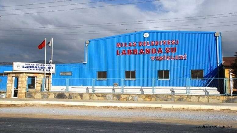 whatsapp-image-2025-10-22-at-17-27-52