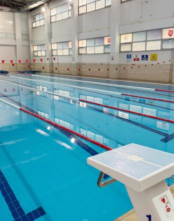 3bf53890-1bbd-600a-92f7-299e23f6b846