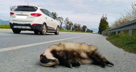 655929409_1382403930593377_6164753814211300278_n