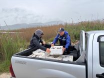 656676034_18174612211386826_345595920223687828_n