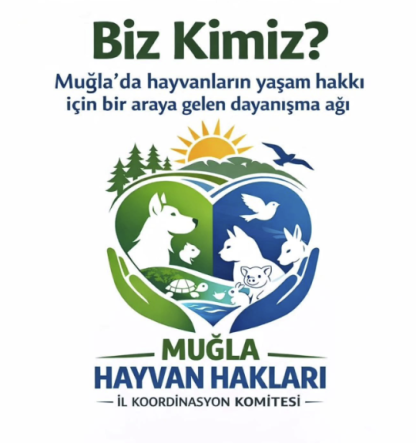 Ekran Resmi 2026-03-16 14.30.31