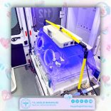 WhatsApp Image 2026-03-10 at 17.45.07