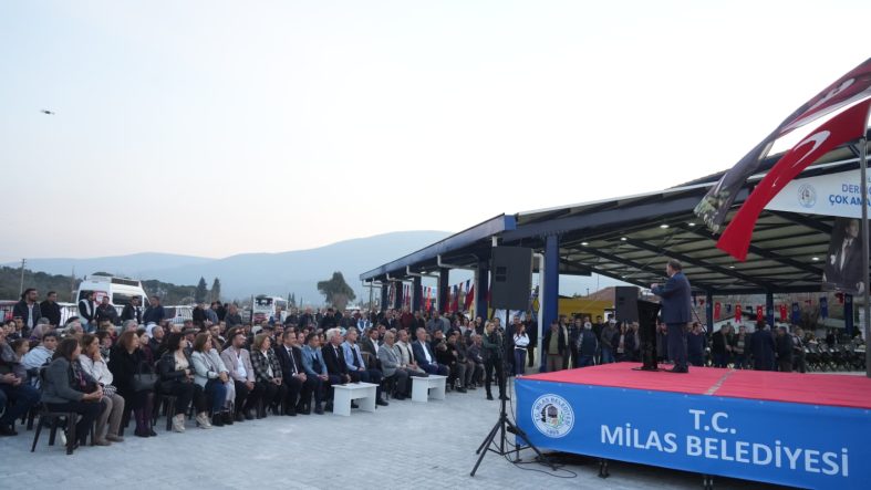 WhatsApp Image 2026-03-13 at 22.07.49