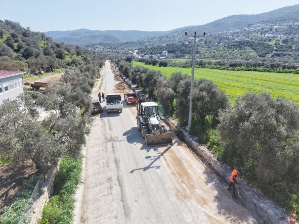 WhatsApp Image 2026-03-23 at 13.34.26 (1)