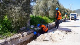 WhatsApp Image 2026-03-30 at 2.33.08 PM (5)