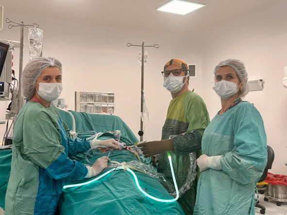 a2623f6d-4c70-44d9-b959-07d28dccdb30