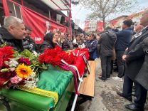 d590a77c-356e-4102-806c-cbf57e684c55