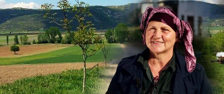 66599650_1769703973174430_1491964354642313216_n