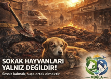 Ekran Resmi 2026-04-04 13.49.30