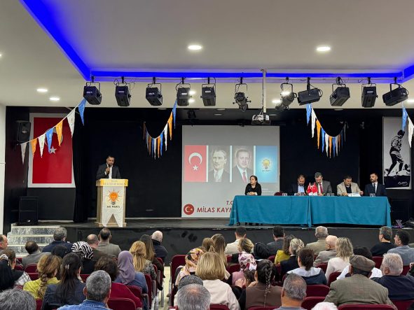 WhatsApp Image 2026-04-11 at 16.33.40 (1)