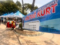 WhatsApp Image 2026-04-14 at 15.27.34