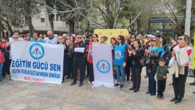 c8d6e4ea-1538-48bb-86ef-a29f036345e3