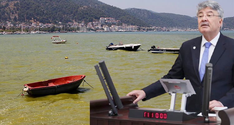 metin ergun