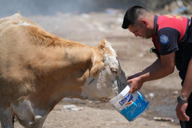 Yangın Sahasında Yürek Isıtan An (8)