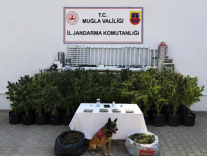 Ekran Resmi 2026-08-10 11.53.18