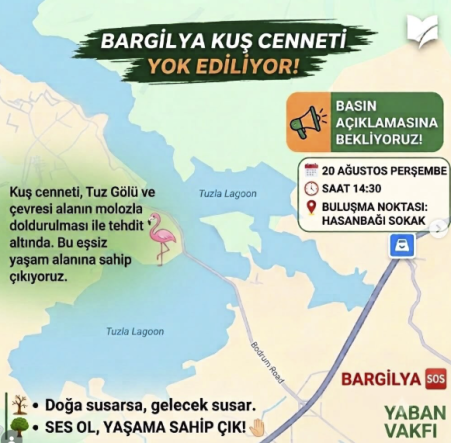 Ekran Resmi 2026-08-19 13.42.13