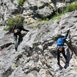 images-1